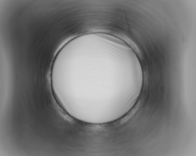 X0000111190814200907291202