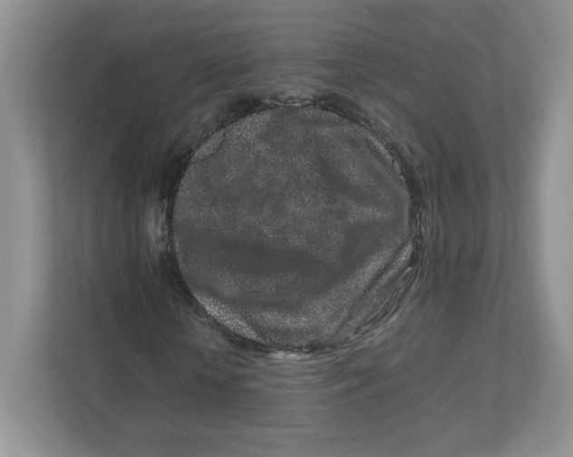 X0000111190818200907291201