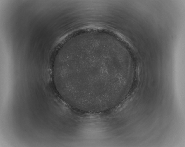 X0000111190822200907291202