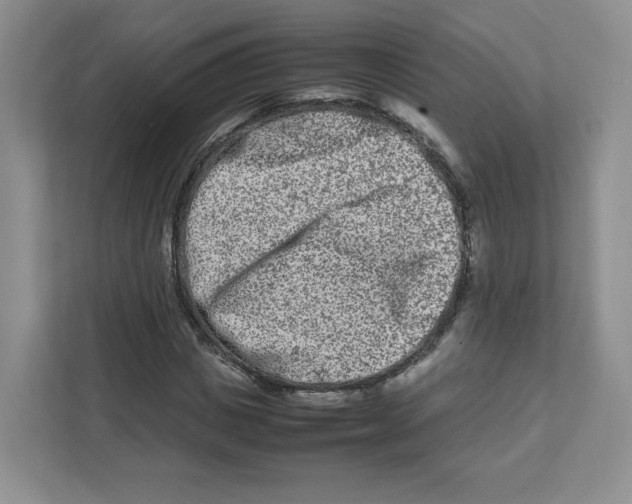 X0000111190825200907291202