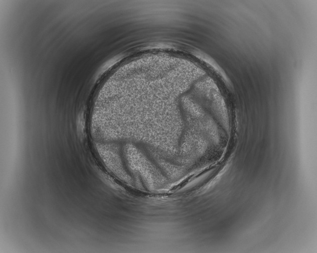 X0000111190826200907291202