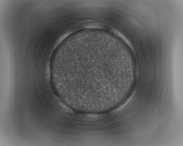 X0000111190829200907291202