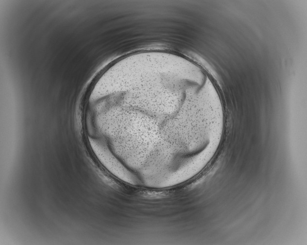 X0000111190835200907291202