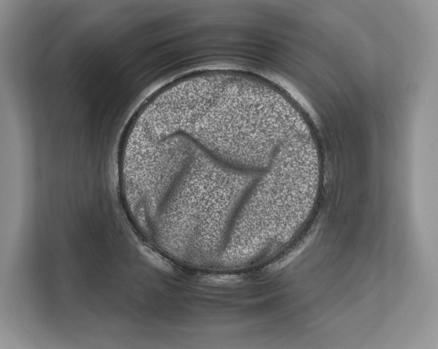 X0000111190837200907291202
