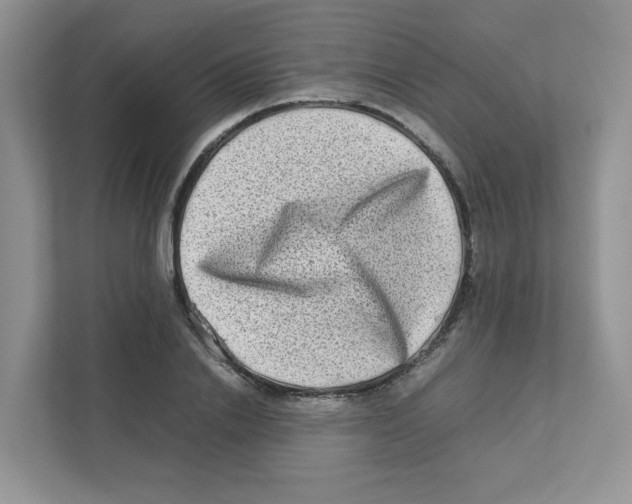 X0000111190838200907291202