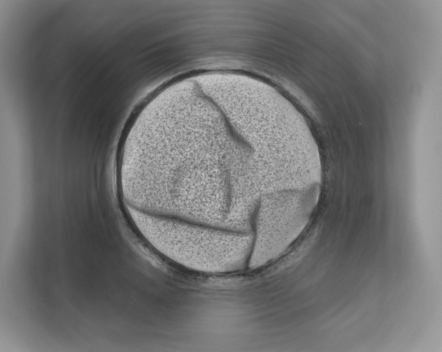 X0000111190840200907291202