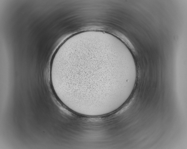 X0000111190844200907291202