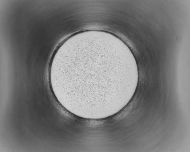 X0000111190848200907291202