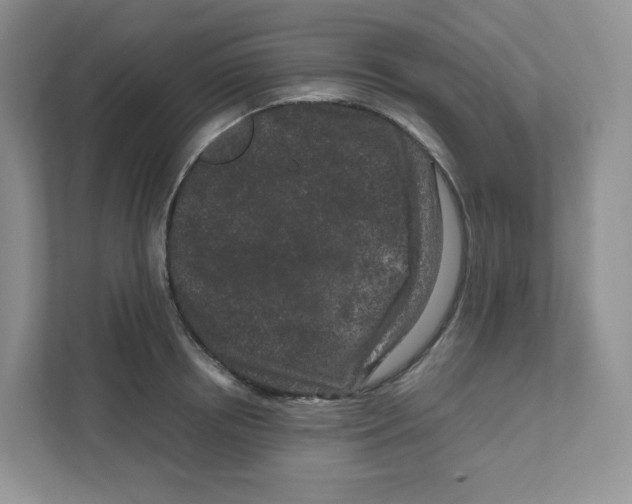 X0000111190850200907291202
