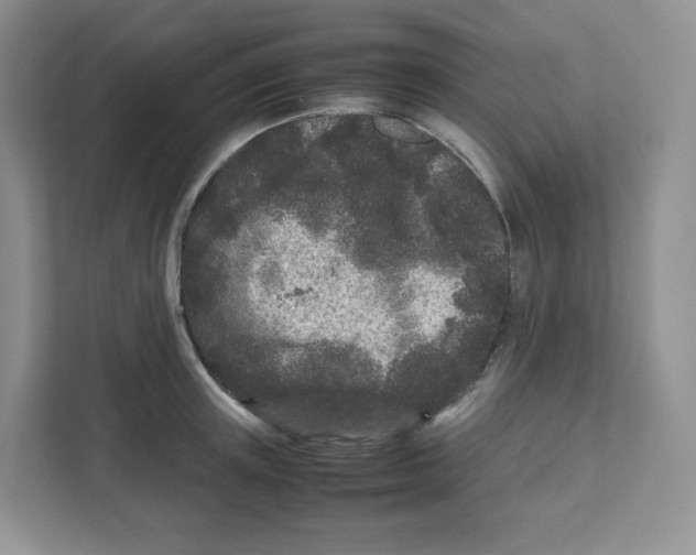 X0000111190851200907291202