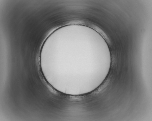 X0000111190852200907291202