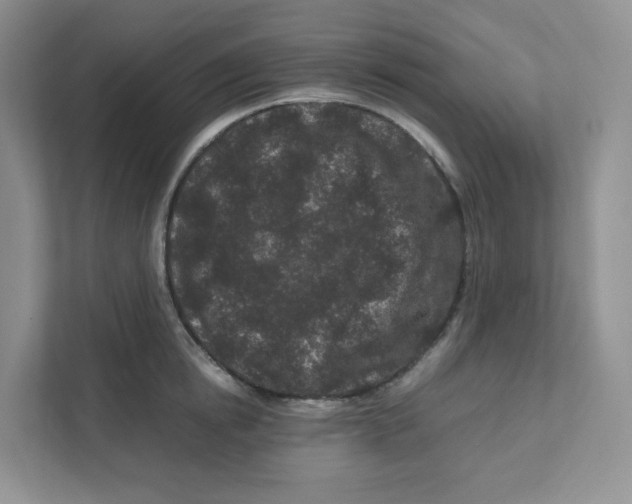 X0000111190854200907291202