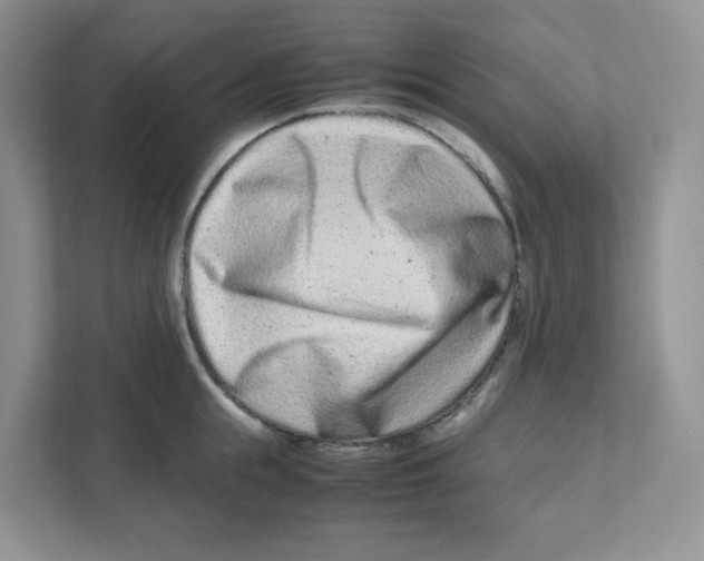X0000111190855200907291202