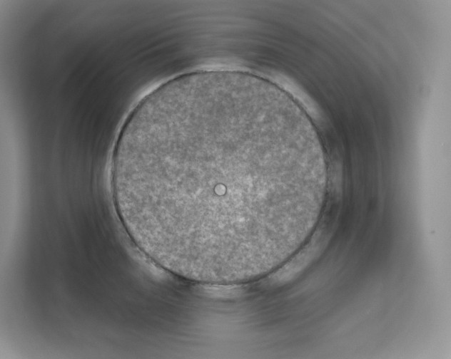 X0000111190856200907291202