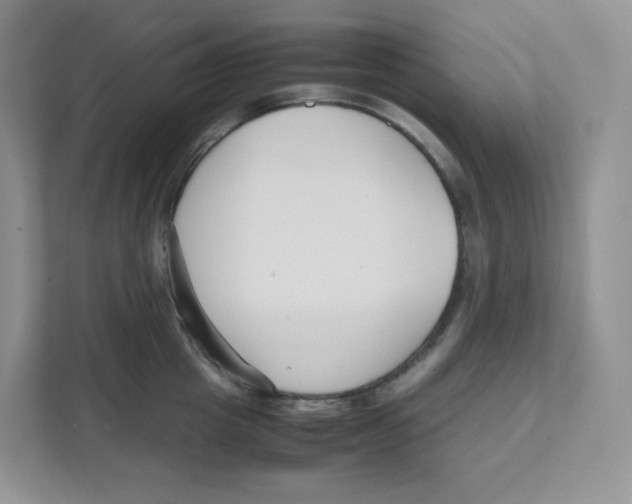 X0000111190857200907291202
