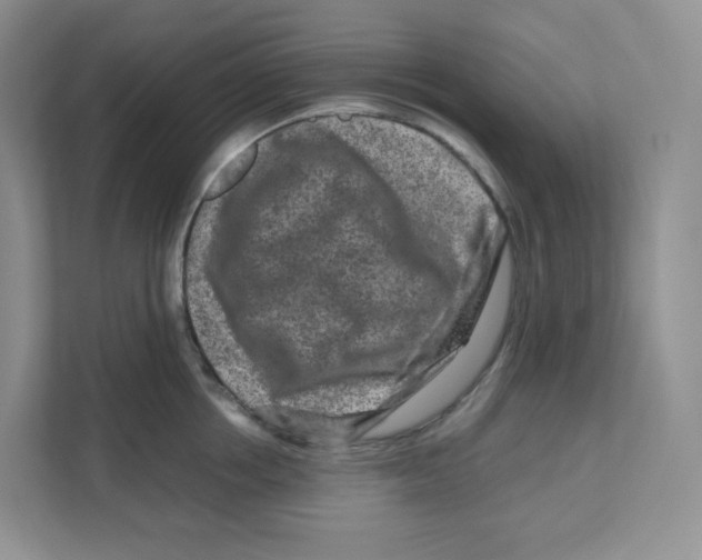 X0000111190858200907291202