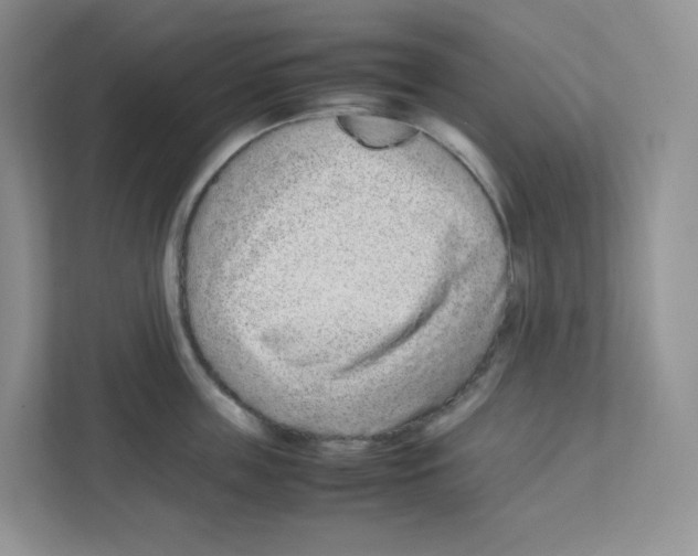 X0000111190859200907291202