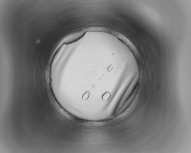 X0000111190860200907291202