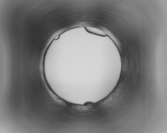 X0000111190861200907291202