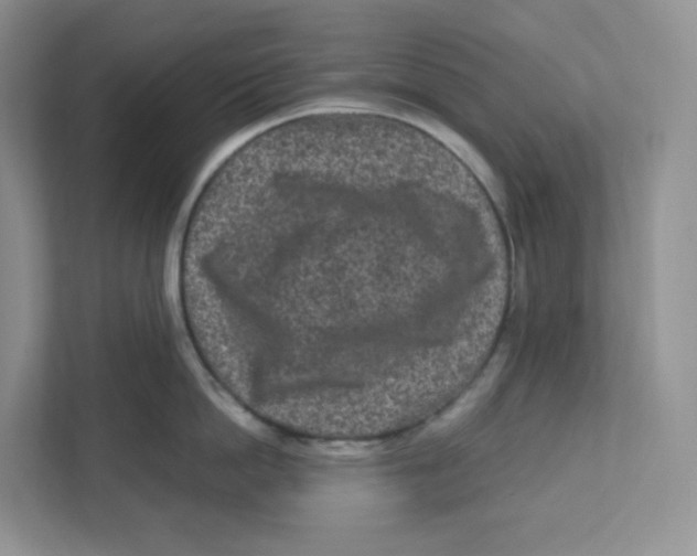 X0000111190862200907291202