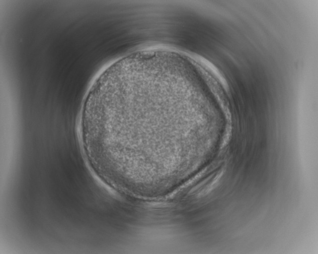 X0000111190863200907291202