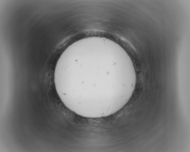 X0000111190870200907291201