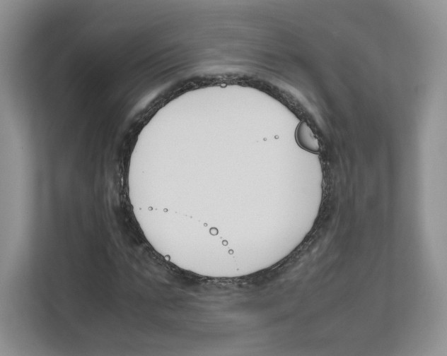 X0000111190871200907291201