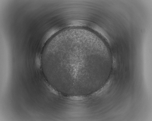 X0000111190874200907291201