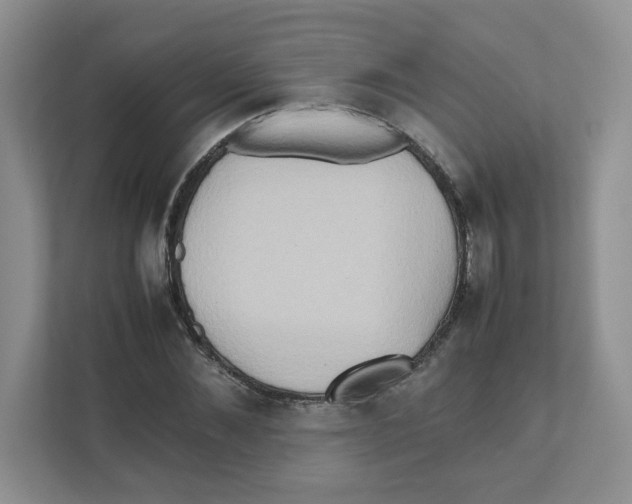 X0000111190876200907291201