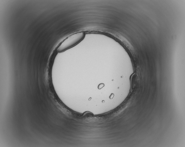 X0000111190880200907291201