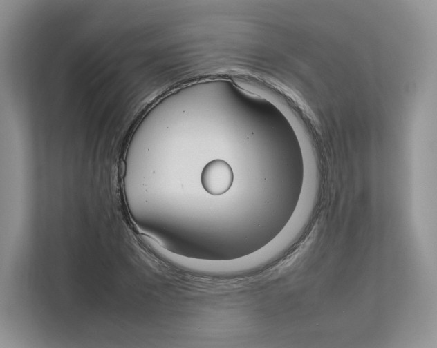 X0000111190881200907291201