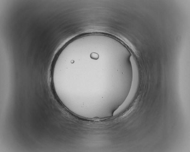 X0000111190885200907291201