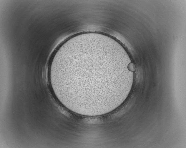 X0000111190886200907291201