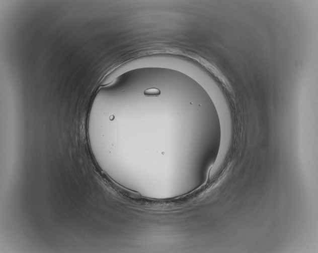 X0000111190889200907291201
