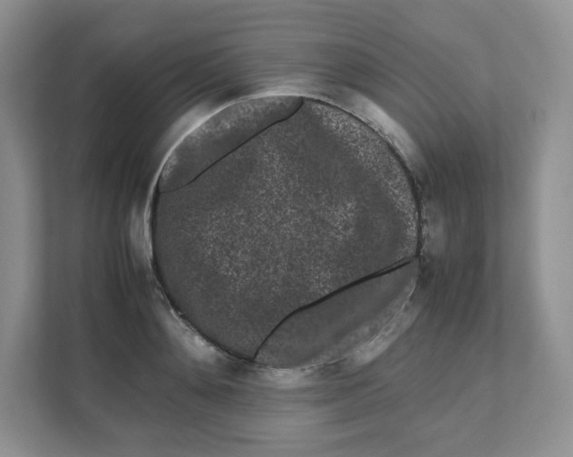 X0000111190892200907291201