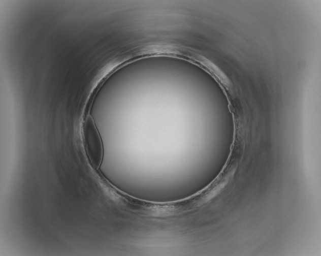 X0000111190893200907291201