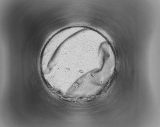 X0000111190895200907291201