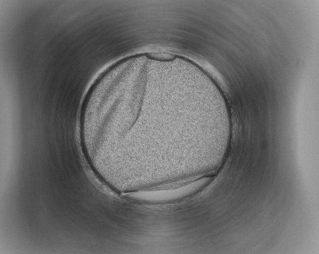 X0000111190896200907291201