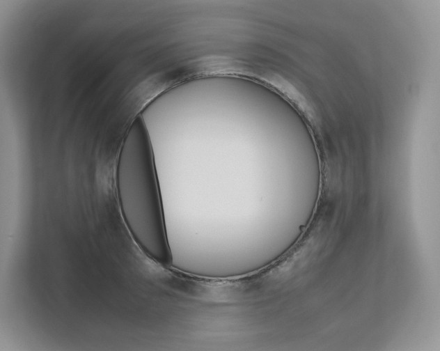 X0000111190897200907291201