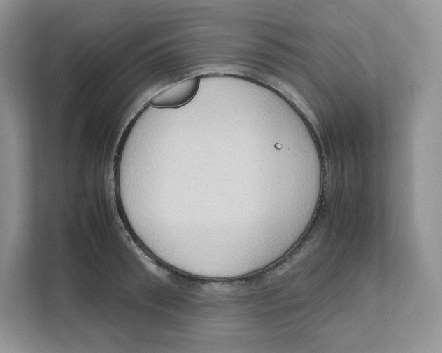 X0000111190898200907291201