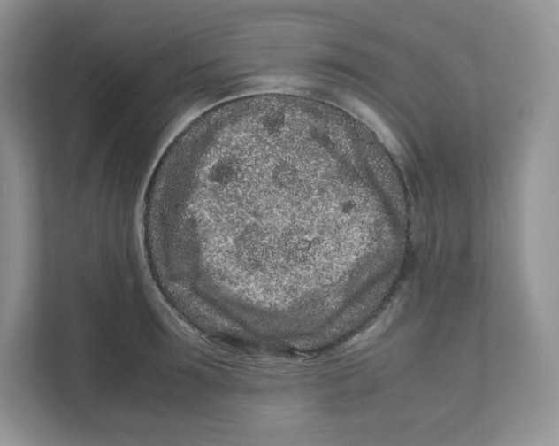 X0000111190899200907291201