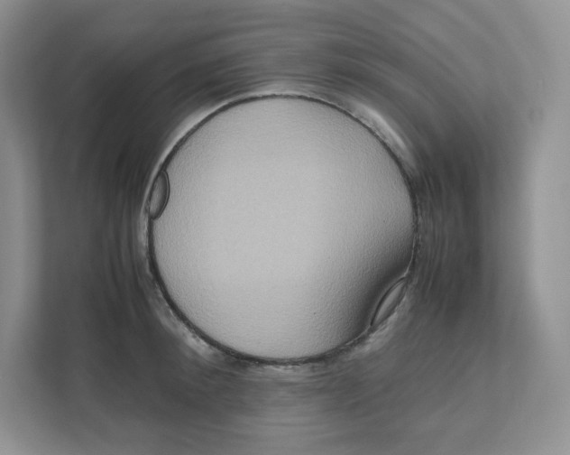 X0000111190900200907291201