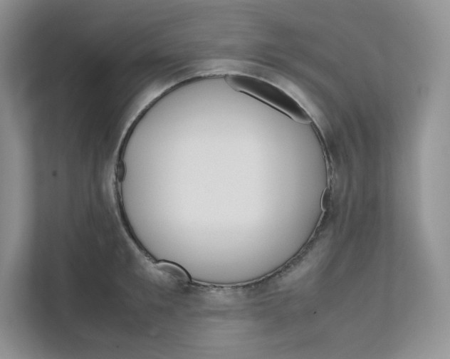 X0000111190901200907291201