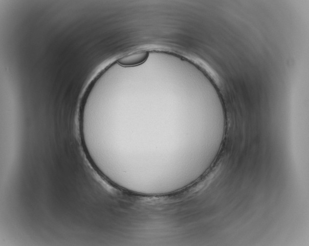 X0000111190902200907291201