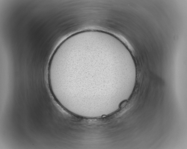 X0000111190903200907291201