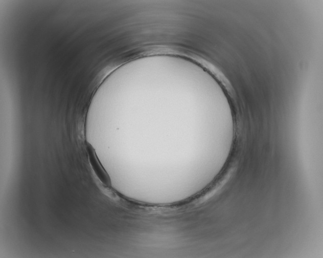 X0000111190905200907291201