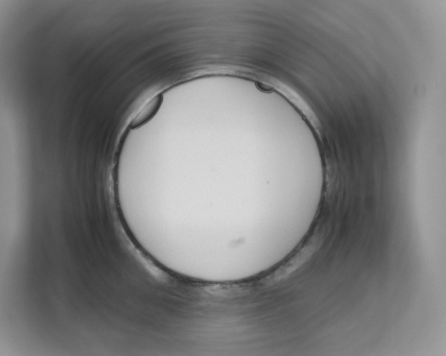 X0000111190906200907291201