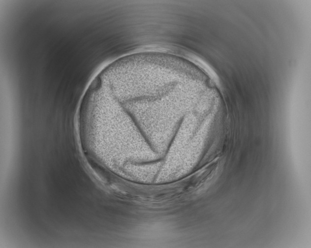 X0000111190907200907291201