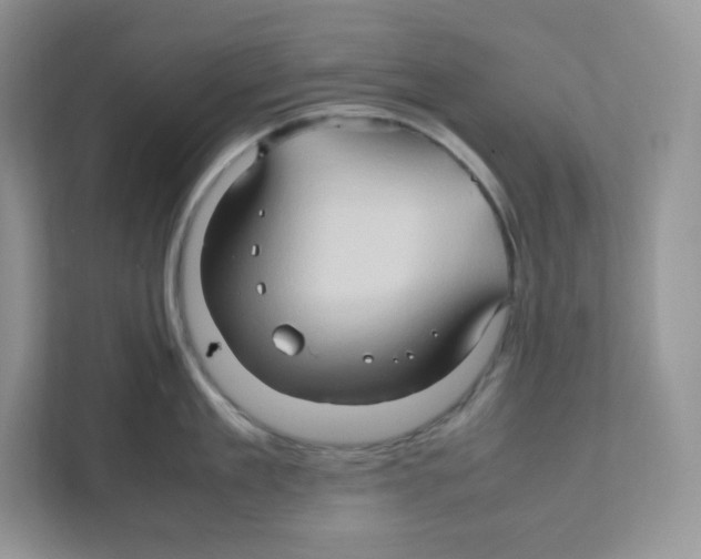 X0000111190909200907291201