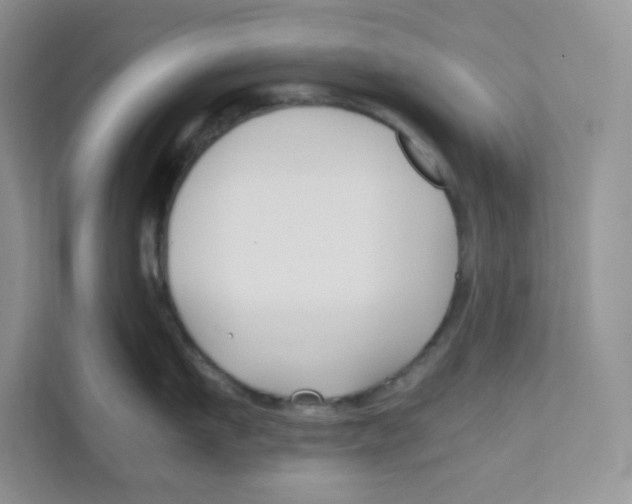 X0000111190911200907291201